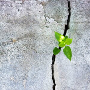 Purchase Building Your Personal Resilience Course